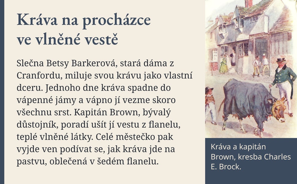 Kráva na procházce ve vlněné vestě. Slečna Betsy Barkerová, stará dáma z Cranfordu, miluje svou krávu jako vlastní dceru. Jednoho dne kráva spadne do vápenné jámy a vápno jí vezme skoro všechnu srst. Kapitán Brown…