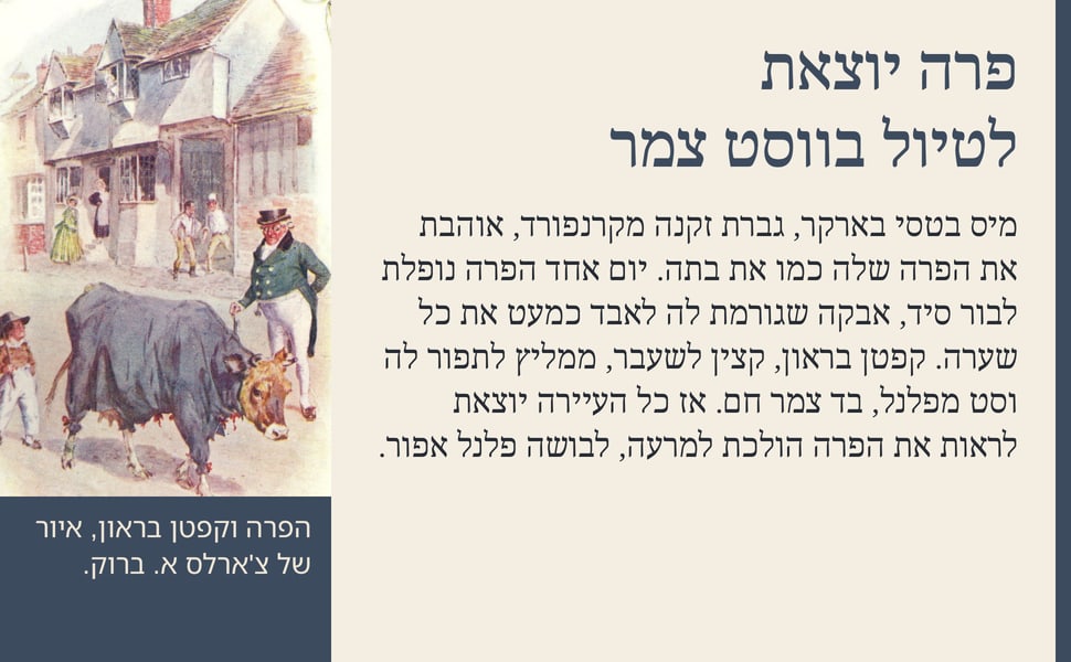 פרה יוצאת לטיול בווסט צמר. מיס בטסי בארקר, גברת זקנה מקרנפורד, אוהבת את הפרה שלה כמו את בתה. יום אחד הפרה נופלת לבור סיד, אבקה שגורמת לה לאבד כמעט את כל שערה. קפטן בראון, קצין לשעבר, ממליץ לתפור לה וסט מפלנל, בד צמר…