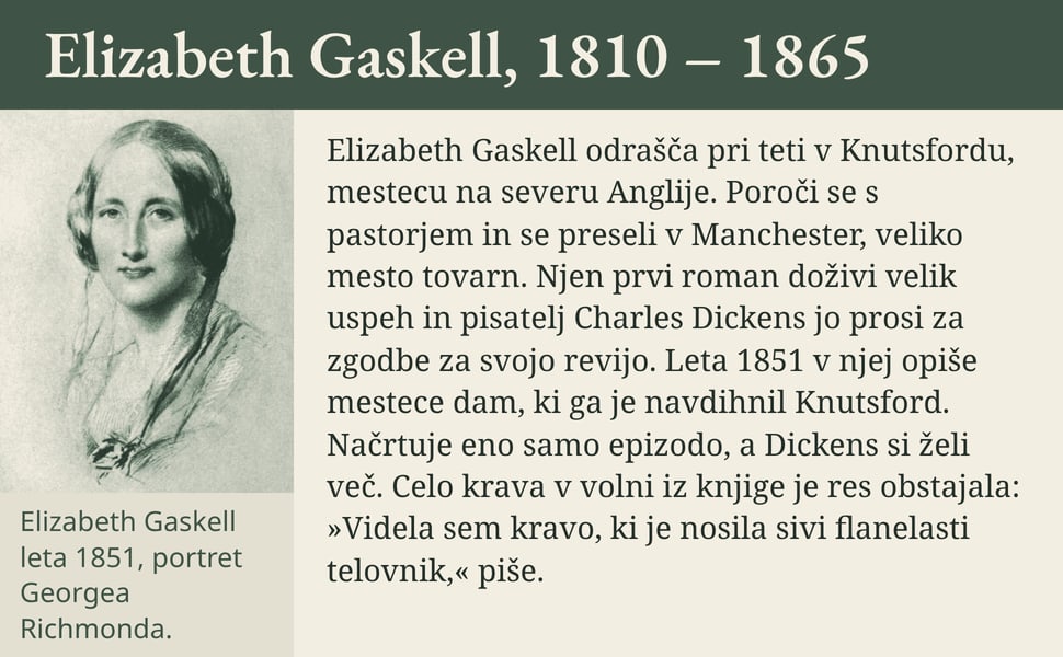 Elizabeth Gaskell, 1810 – 1865. Elizabeth Gaskell odrašča pri teti v Knutsfordu, mestecu na severu Anglije. Poroči se s pastorjem in se preseli v Manchester, veliko mesto tovarn. Njen prvi roman doživi velik uspeh in…
