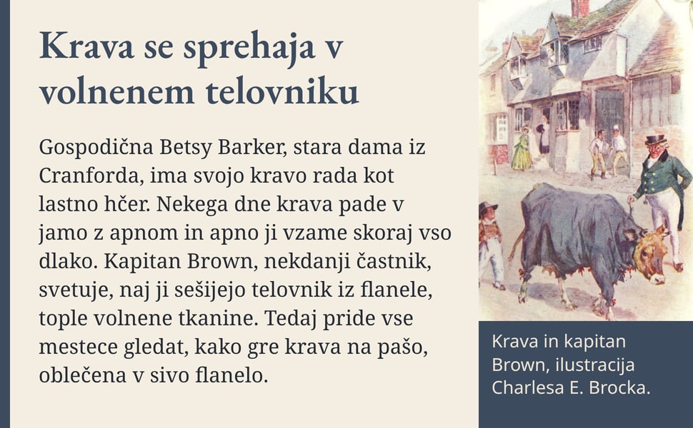 Krava se sprehaja v volnenem telovniku. Gospodična Betsy Barker, stara dama iz Cranforda, ima svojo kravo rada kot lastno hčer. Nekega dne krava pade v jamo z apnom in apno ji vzame skoraj vso dlako. Kapitan Brown…