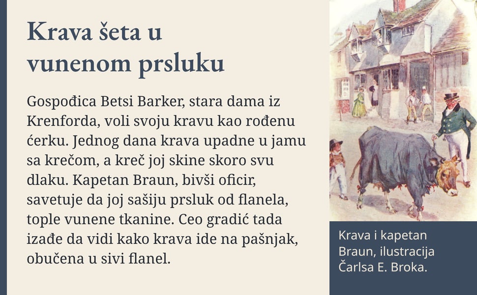 Krava šeta u vunenom prsluku. Gospođica Betsi Barker, stara dama iz Krenforda, voli svoju kravu kao rođenu ćerku. Jednog dana krava upadne u jamu sa krečom, a kreč joj skine skoro svu dlaku. Kapetan Braun, bivši…