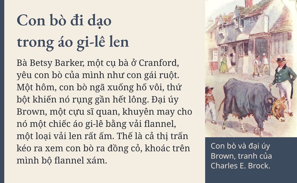 Con bò đi dạo trong áo gi-lê len. Bà Betsy Barker, một cụ bà ở Cranford, yêu con bò của mình như con gái ruột. Một hôm, con bò ngã xuống hố vôi, thứ bột khiến nó rụng gần hết lông. Đại úy Brown, một cựu sĩ quan, khuyên…