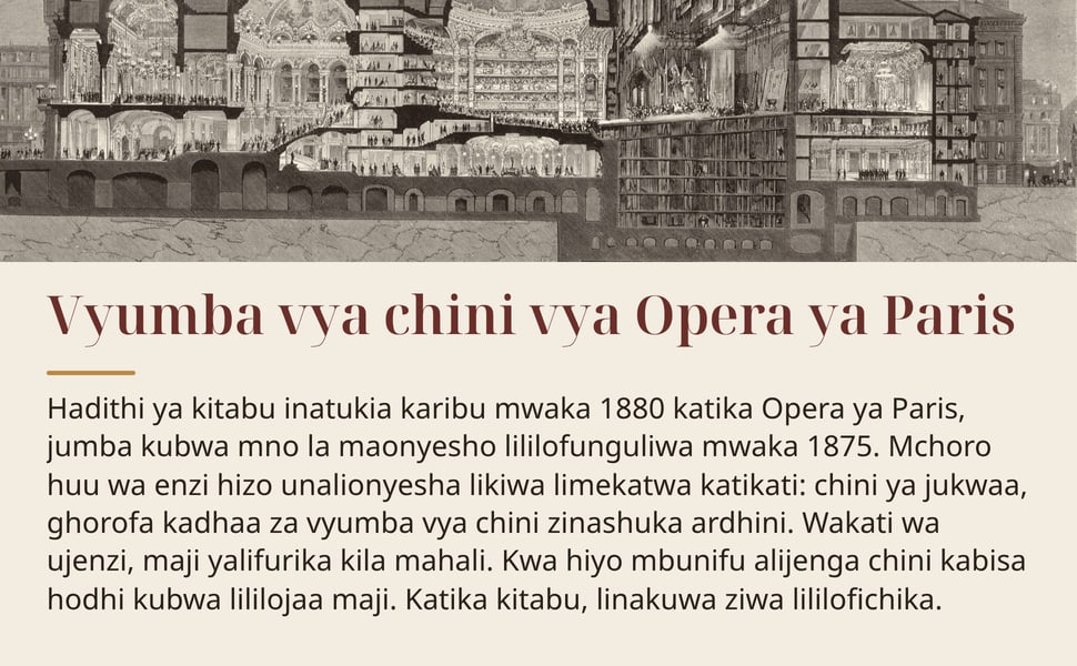Vyumba vya chini vya Opera ya Paris. Hadithi ya kitabu inatukia karibu mwaka 1880 katika Opera ya Paris, jumba kubwa mno la maonyesho lililofunguliwa mwaka 1875. Mchoro huu wa enzi hizo unalionyesha likiwa limekatwa…