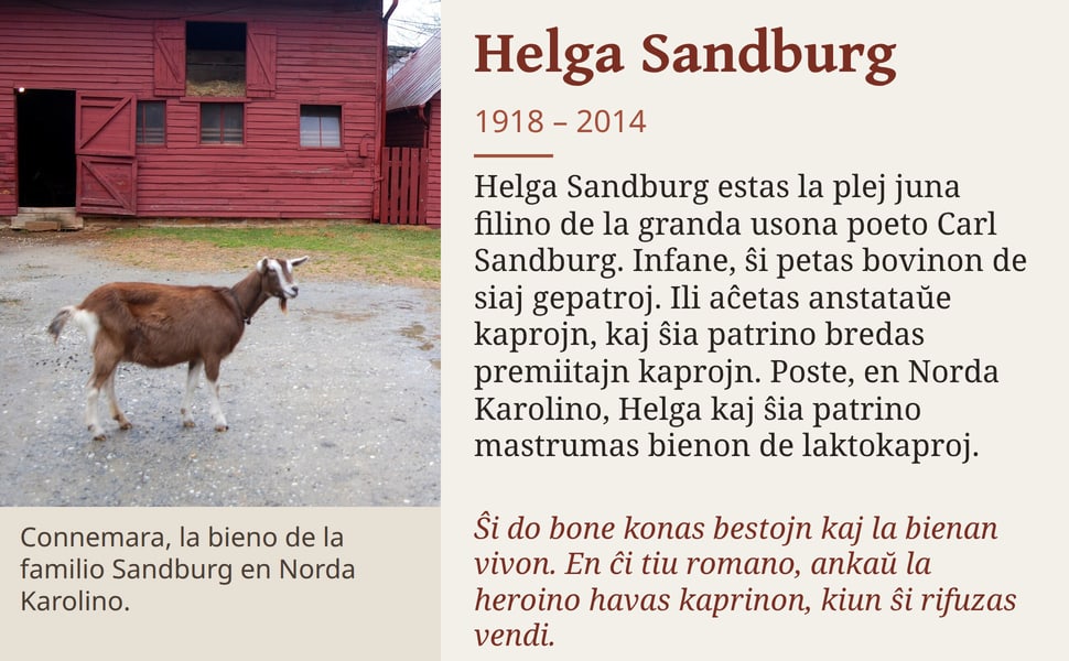 Helga Sandburg. Helga Sandburg estas la plej juna filino de la granda usona poeto Carl Sandburg. Infane, ŝi petas bovinon de siaj gepatroj. Ili aĉetas anstataŭe kaprojn, kaj ŝia patrino bredas premiitajn kaprojn.…