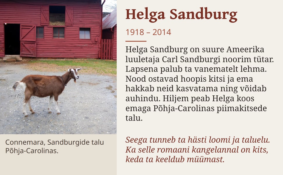 Helga Sandburg. Helga Sandburg on suure Ameerika luuletaja Carl Sandburgi noorim tütar. Lapsena palub ta vanematelt lehma. Nood ostavad hoopis kitsi ja ema hakkab neid kasvatama ning võidab auhindu. Hiljem peab Helga…
