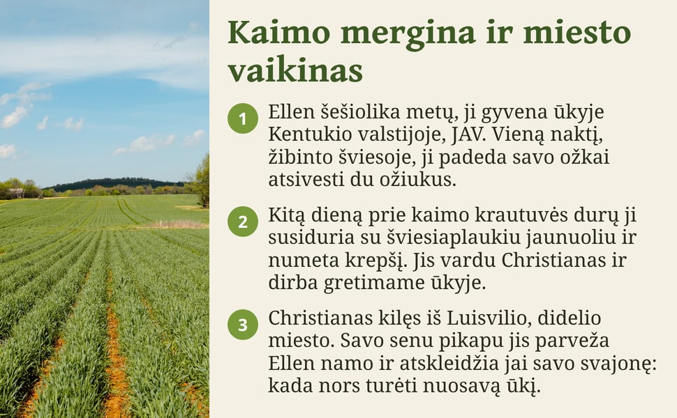 Kaimo mergina ir miesto vaikinas. Ellen šešiolika metų, ji gyvena ūkyje Kentukio valstijoje, JAV. Vieną naktį, žibinto šviesoje, ji padeda savo ožkai atsivesti du ožiukus.
