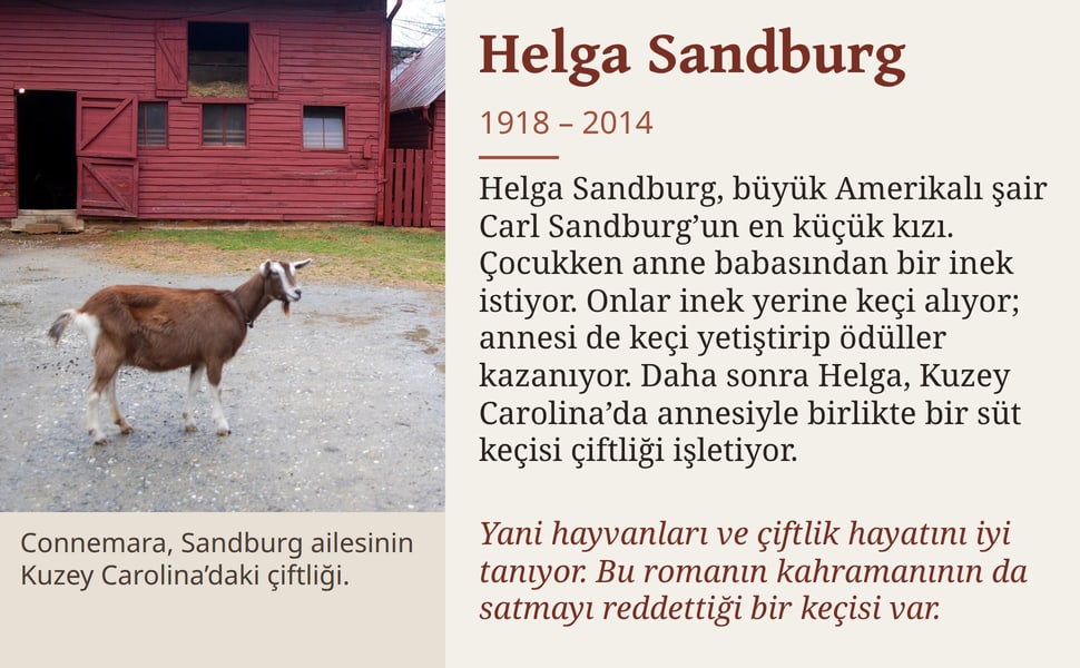 Helga Sandburg. Helga Sandburg, büyük Amerikalı şair Carl Sandburg’un en küçük kızı. Çocukken anne babasından bir inek istiyor. Onlar inek yerine keçi alıyor; annesi de keçi yetiştirip ödüller kazanıyor. Daha sonra…