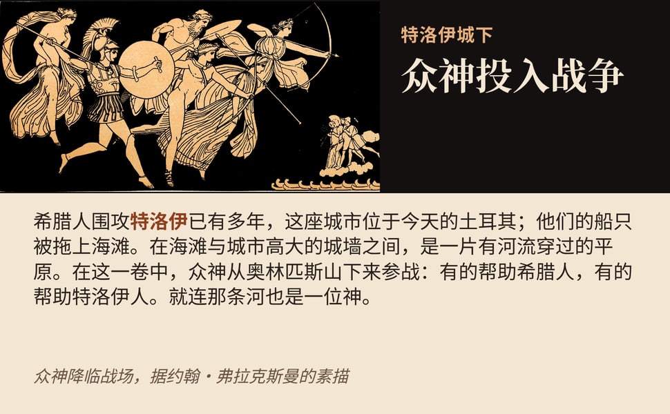 众神投入战争。希腊人围攻特洛伊已有多年，这座城市位于今天的土耳其；他们的船只被拖上海滩。在海滩与城市高大的城墙之间，是一片有河流穿过的平原。在这一卷中，众神从奥林匹斯山下来参战：有的帮助希腊人，有的帮助特洛伊人。就连那条河也是一位神。