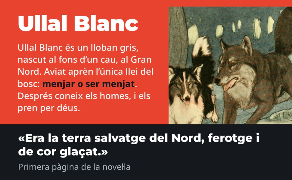 Ullal Blanc. Ullal Blanc és un lloban gris, nascut al fons d’un cau, al Gran Nord. Aviat aprèn l’única llei del bosc: menjar o ser menjat. Després coneix els homes, i els pren per déus.
