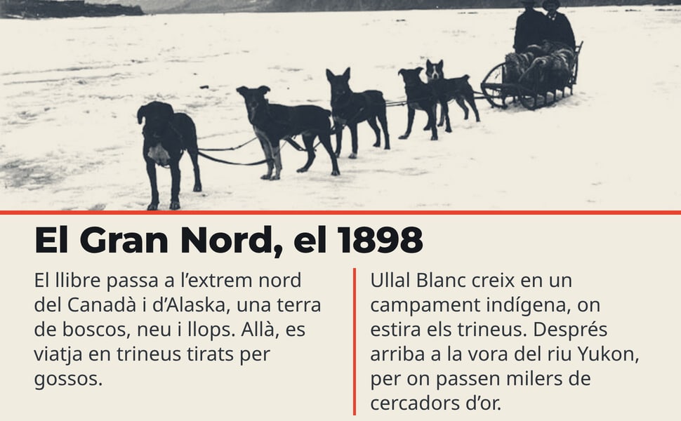 El Gran Nord, el 1898. El llibre passa a l’extrem nord del Canadà i d’Alaska, una terra de boscos, neu i llops. Allà, es viatja en trineus tirats per gossos.
