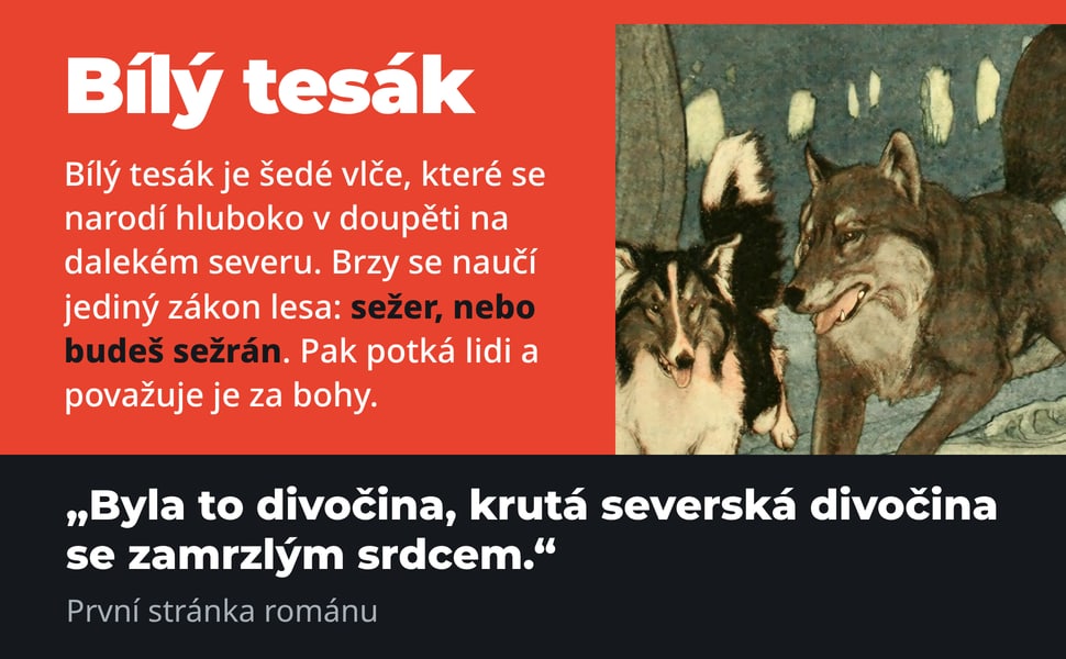 Bílý tesák. Bílý tesák je šedé vlče, které se narodí hluboko v doupěti na dalekém severu. Brzy se naučí jediný zákon lesa: sežer, nebo budeš sežrán. Pak potká lidi a považuje je za bohy.