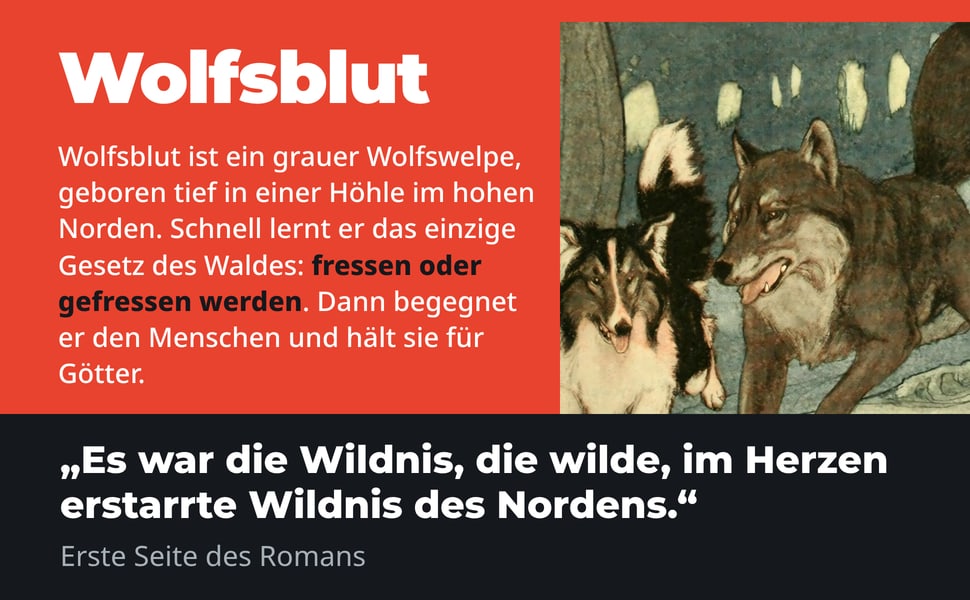 Wolfsblut. Wolfsblut ist ein grauer Wolfswelpe, geboren tief in einer Höhle im hohen Norden. Schnell lernt er das einzige Gesetz des Waldes: fressen oder gefressen werden. Dann begegnet er den Menschen und hält sie für…