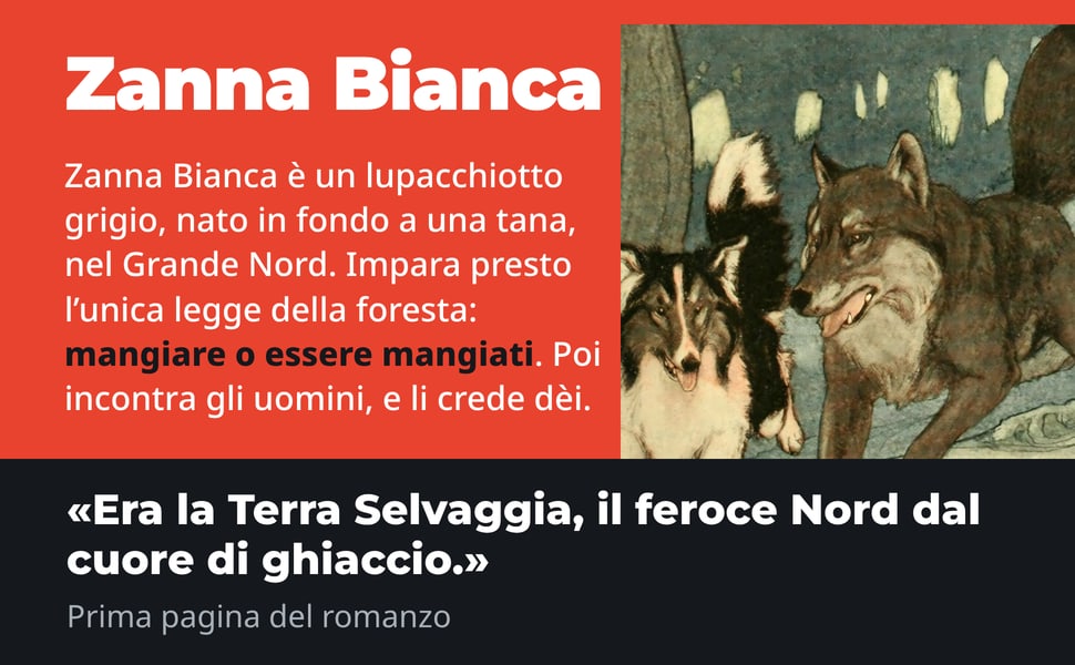 Zanna Bianca. Zanna Bianca è un lupacchiotto grigio, nato in fondo a una tana, nel Grande Nord. Impara presto l’unica legge della foresta: mangiare o essere mangiati. Poi incontra gli uomini, e li crede dèi.