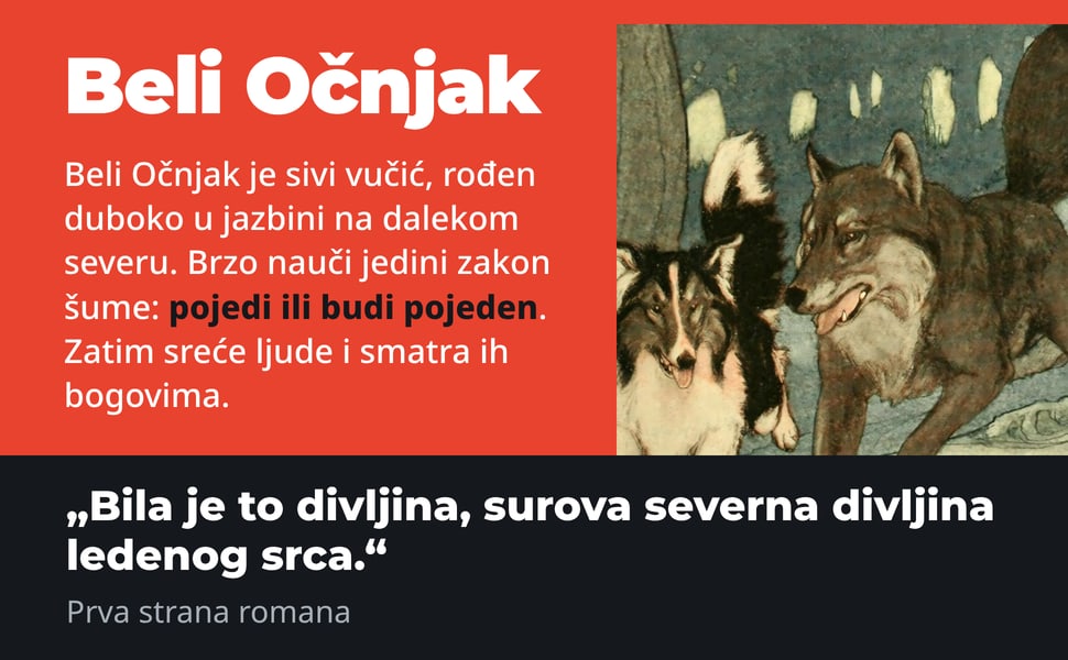 Beli Očnjak. Beli Očnjak je sivi vučić, rođen duboko u jazbini na dalekom severu. Brzo nauči jedini zakon šume: pojedi ili budi pojeden. Zatim sreće ljude i smatra ih bogovima.