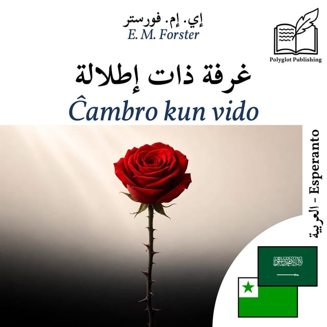 Ĉambro kun vido