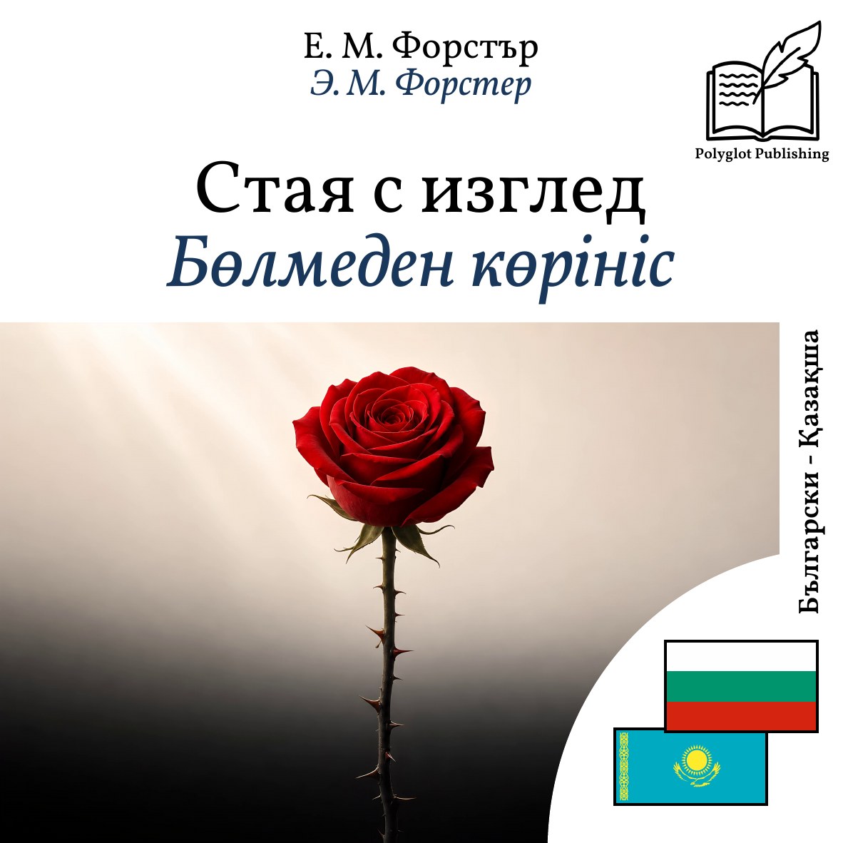 Бөлмеден көрініс