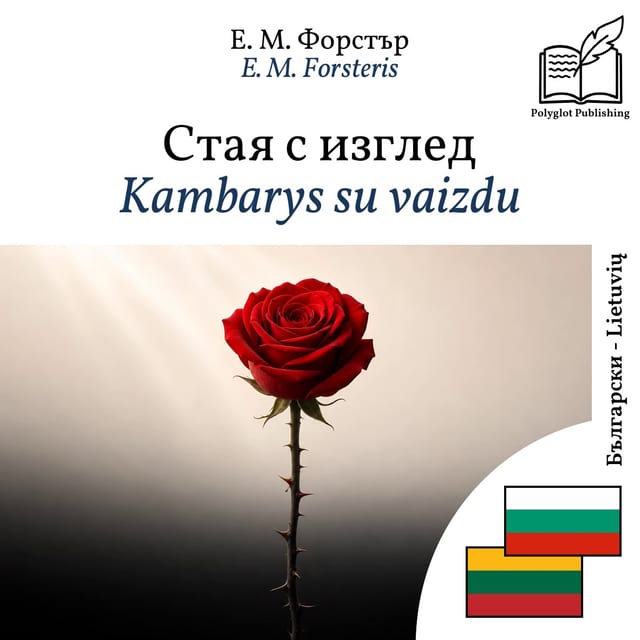 Kambarys su vaizdu