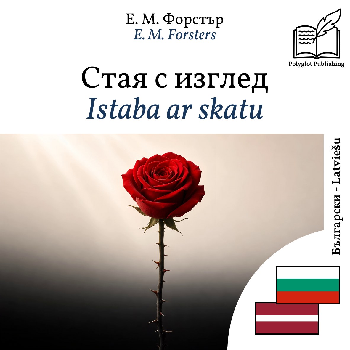 Istaba ar skatu