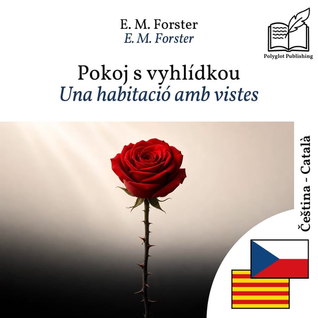 Una habitació amb vistes