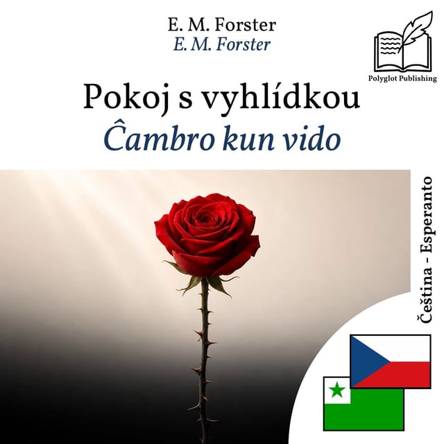 Ĉambro kun vido