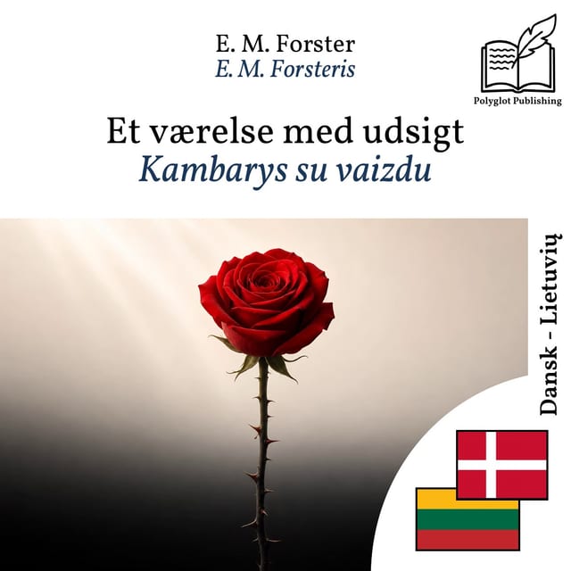 Kambarys su vaizdu
