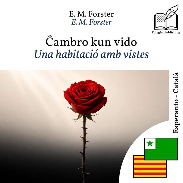 Una habitació amb vistes