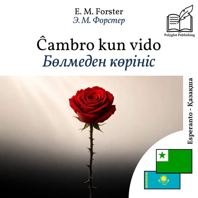 Бөлмеден көрініс