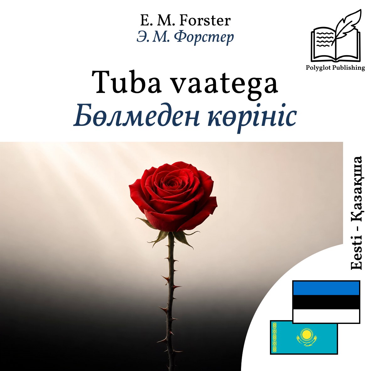 Бөлмеден көрініс
