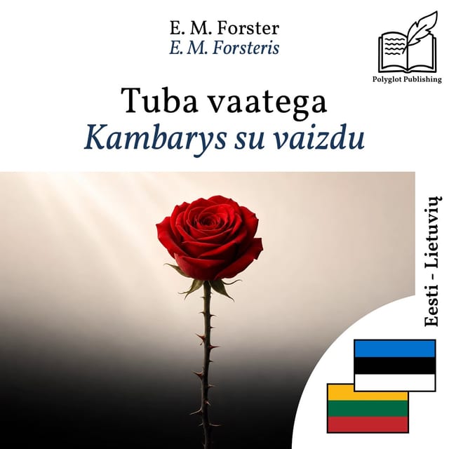 Kambarys su vaizdu