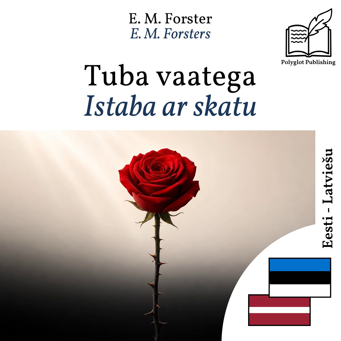 Istaba ar skatu