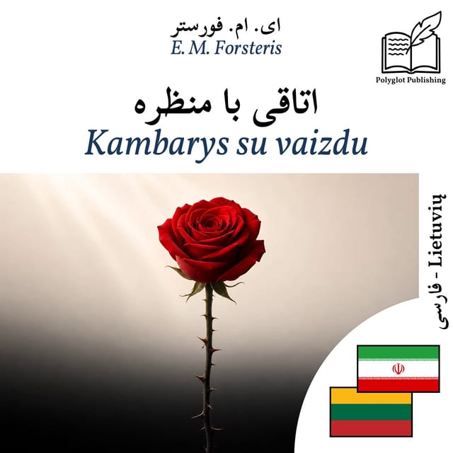 Kambarys su vaizdu
