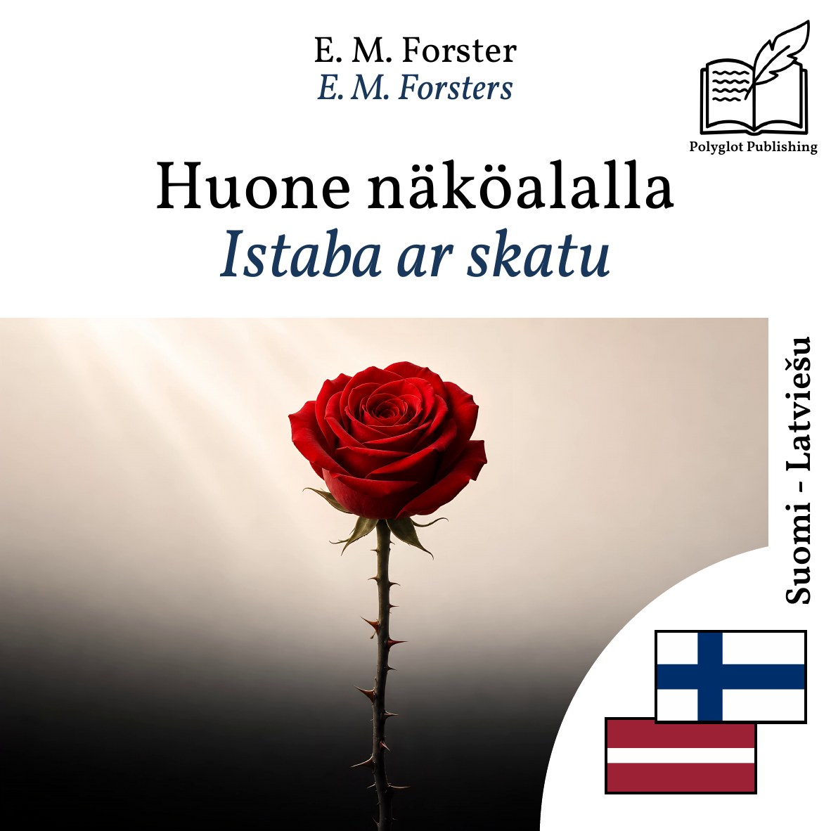 Istaba ar skatu
