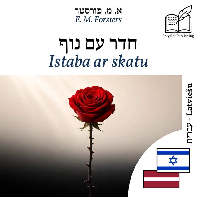 Istaba ar skatu