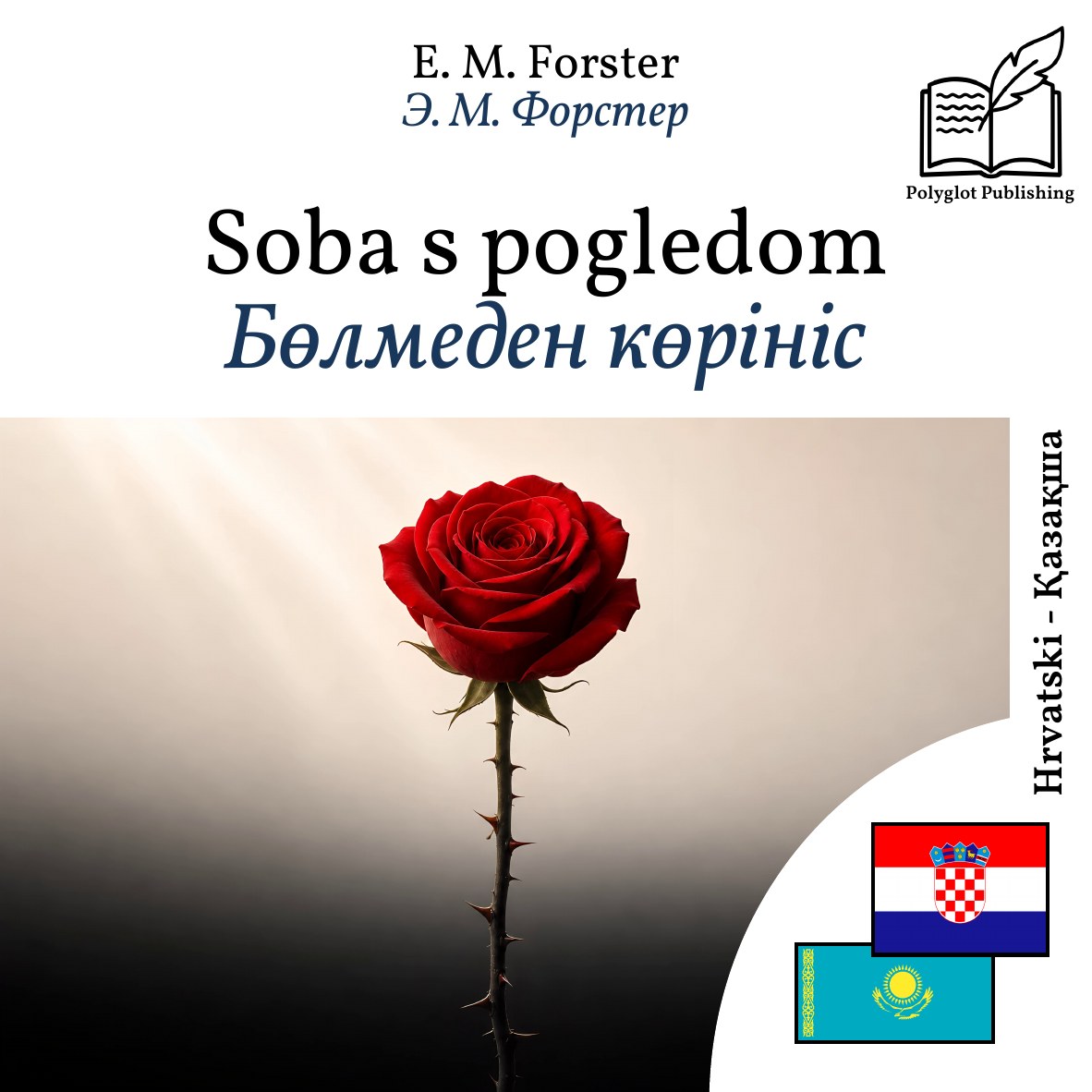 Бөлмеден көрініс