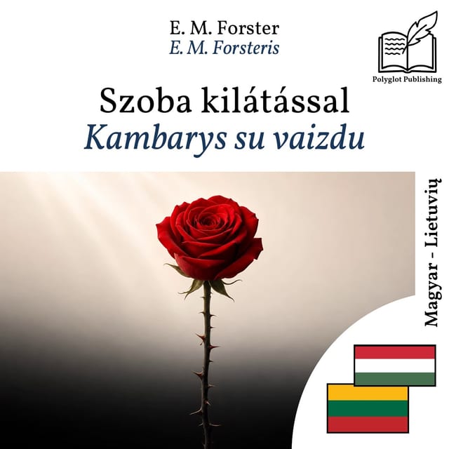 Kambarys su vaizdu