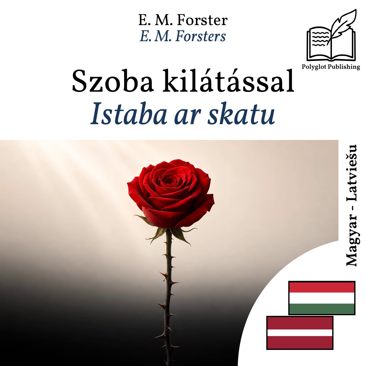 Istaba ar skatu