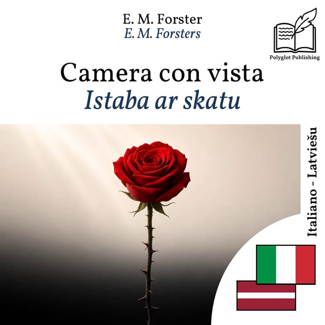 Istaba ar skatu