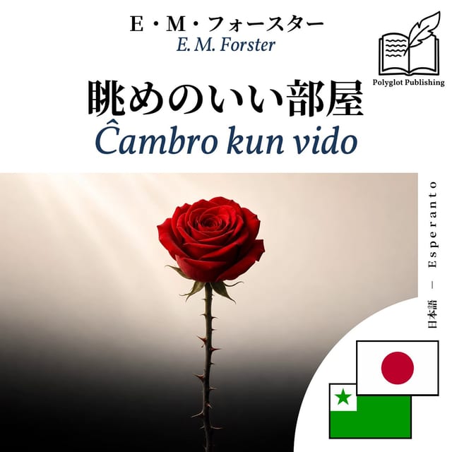 Ĉambro kun vido