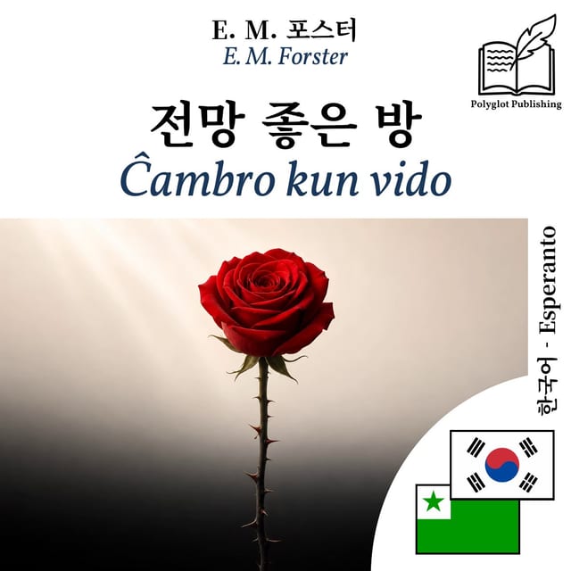 Ĉambro kun vido