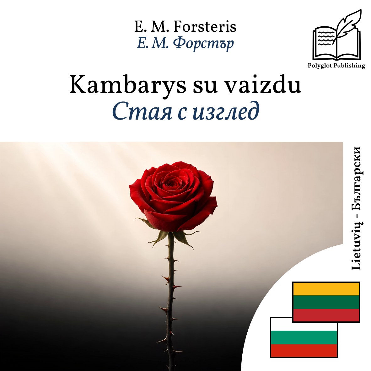 Стая с изглед