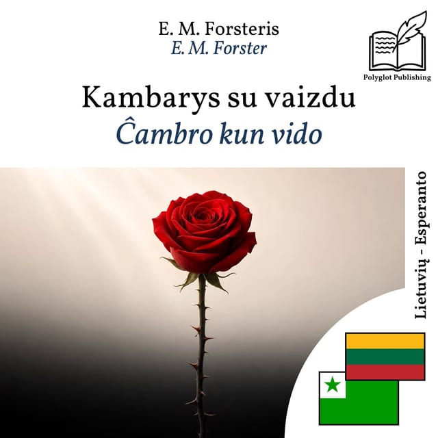 Ĉambro kun vido