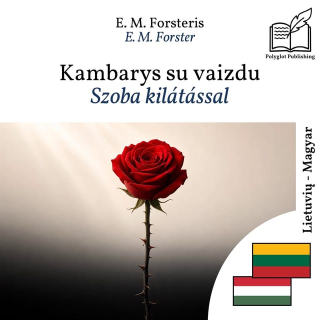 Szoba kilátással