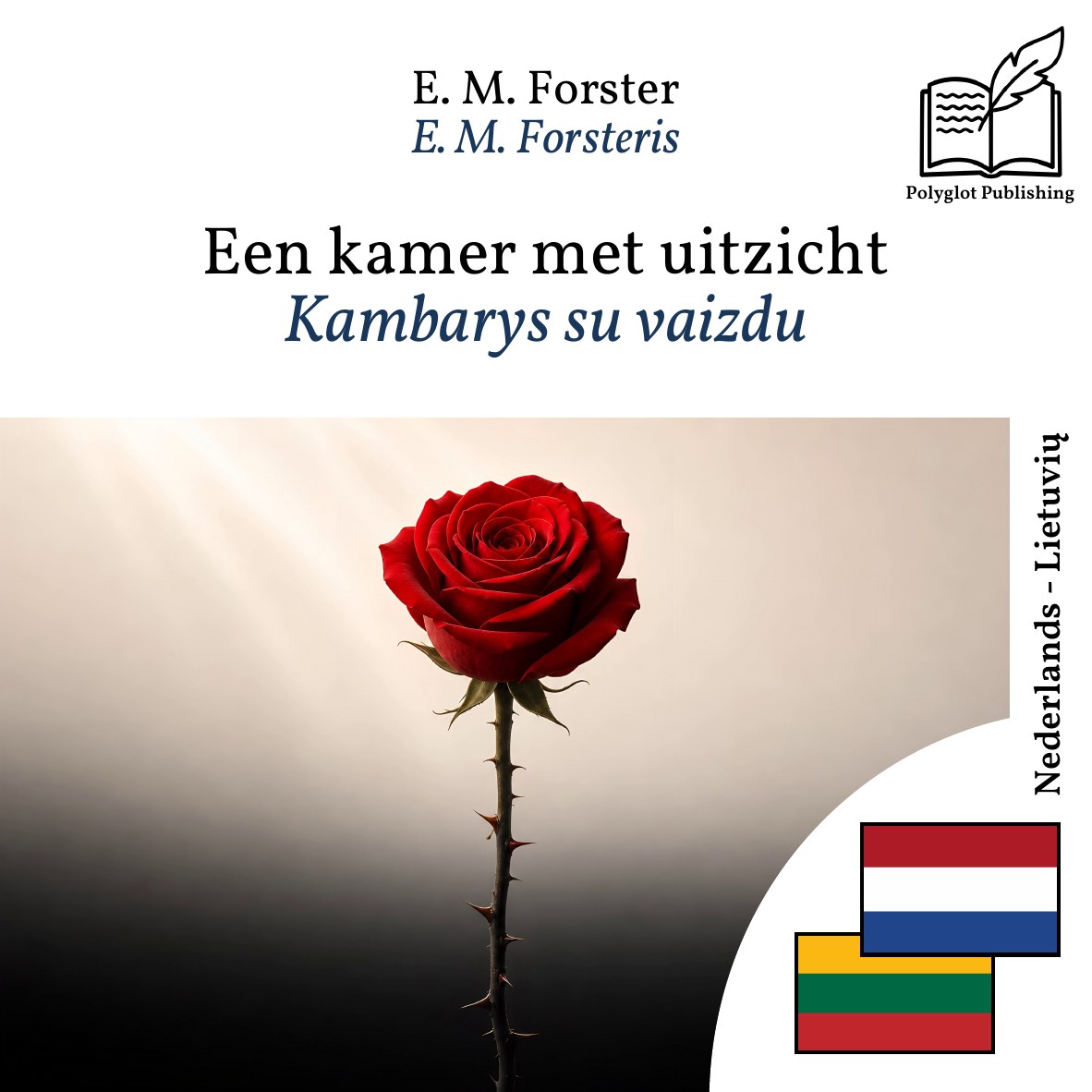 Kambarys su vaizdu