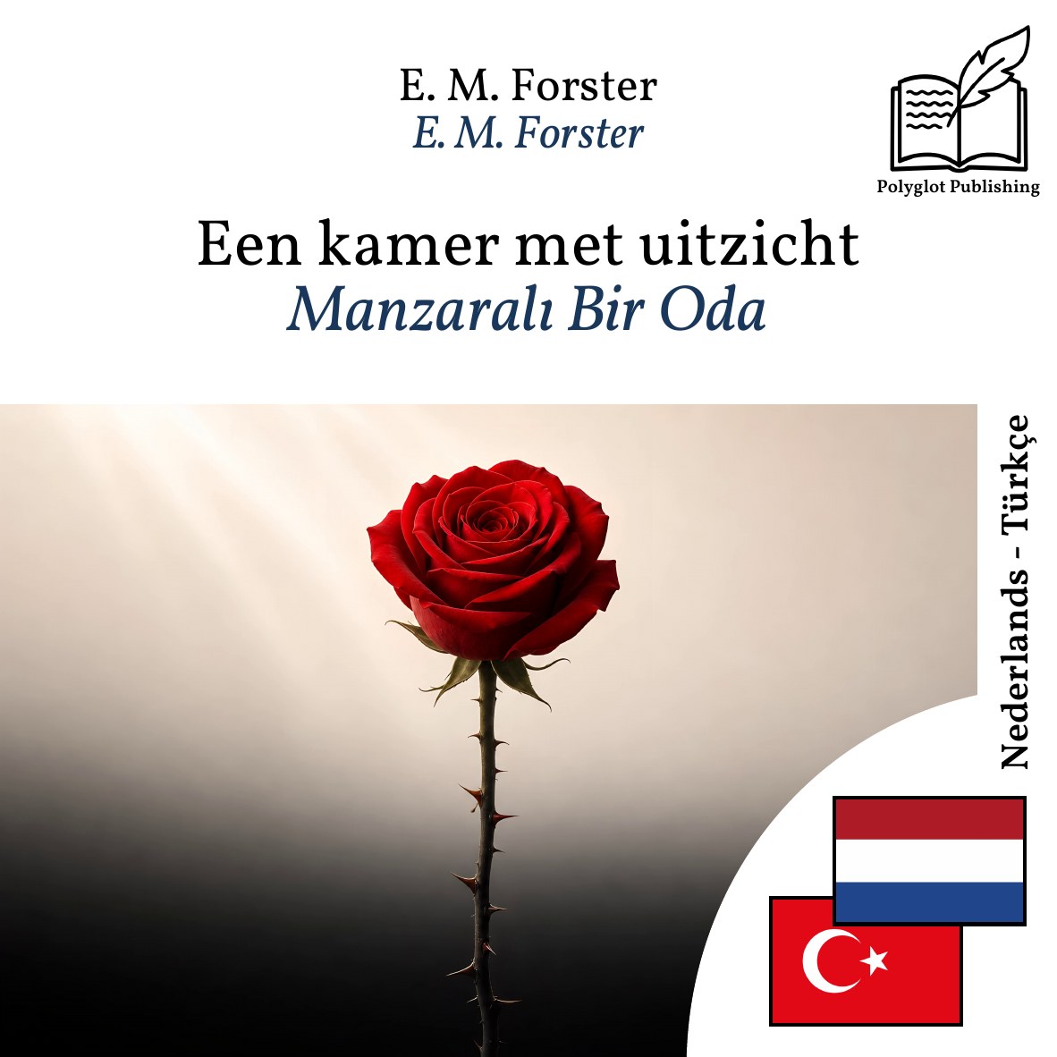 Manzaralı Bir Oda