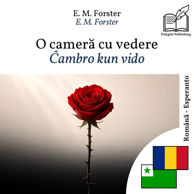 Ĉambro kun vido