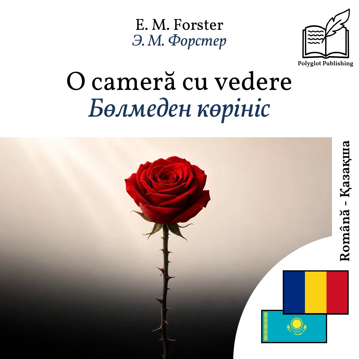 Бөлмеден көрініс