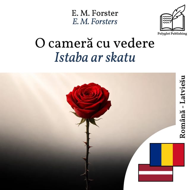 Istaba ar skatu