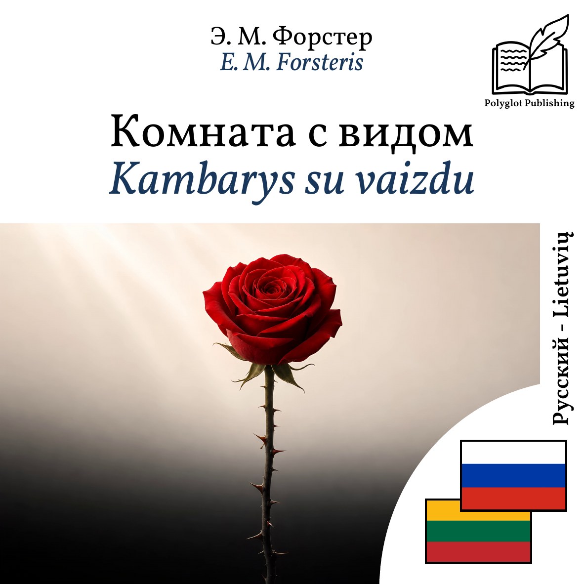 Kambarys su vaizdu