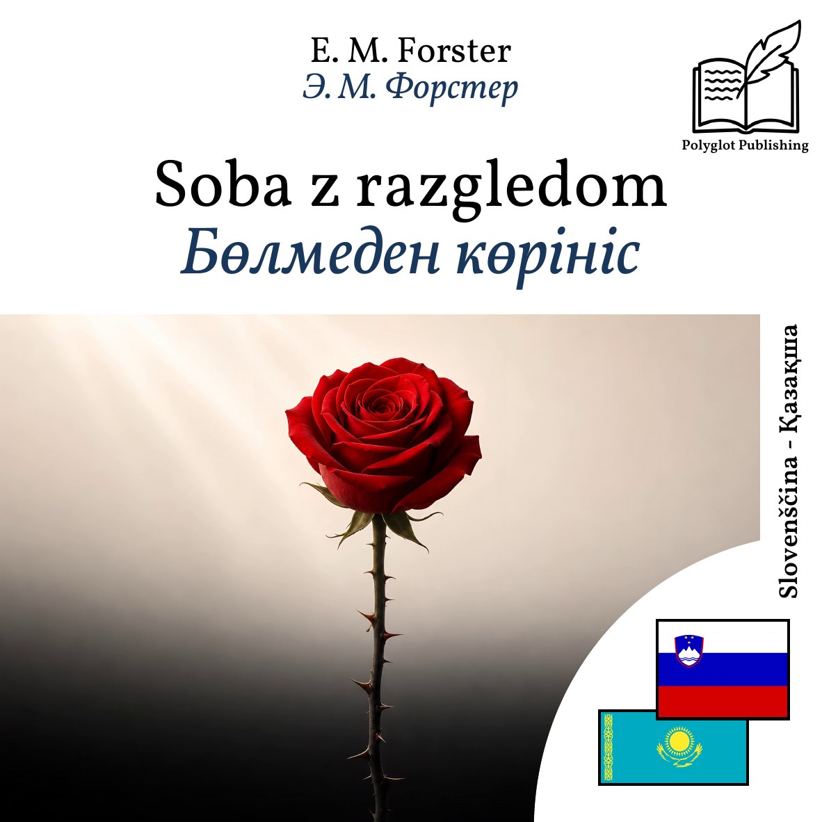 Бөлмеден көрініс