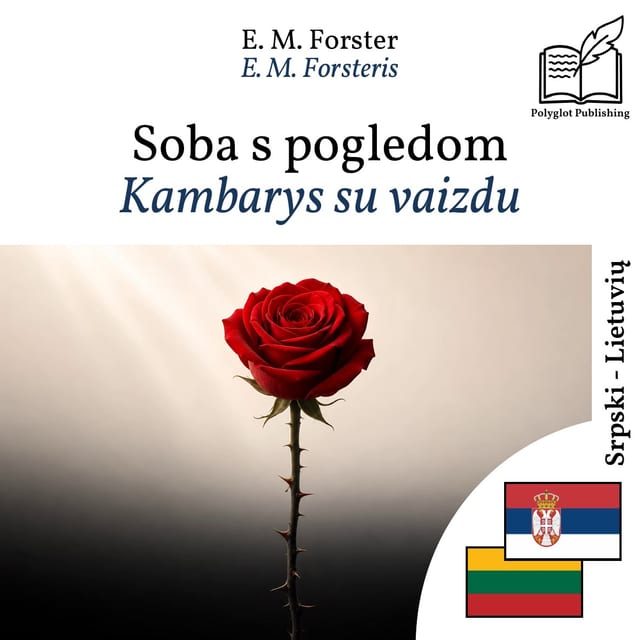 Kambarys su vaizdu